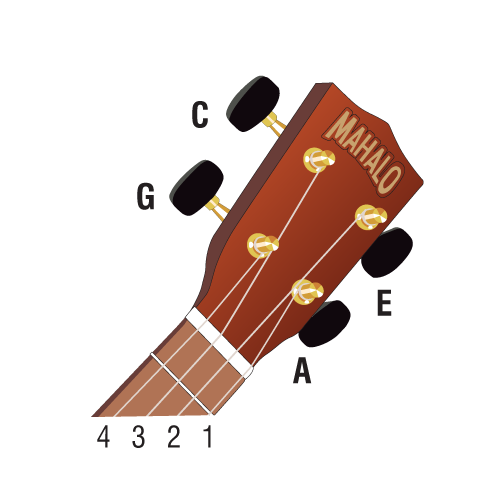 Basic Chords Mahalo Ukuleles